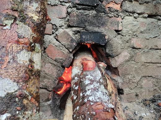 安叶家自产红菇100g/份）/200g 商品图8