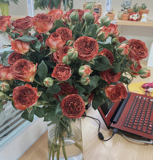 【秒杀福利】南粤推荐-多头巧克力泡泡 10枝 商品图3