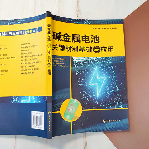 碱金属电池关键材料基础与应用 商品图4