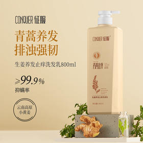 征服 新升级二代青蒿洗发乳800ml，生姜强韧去屑净爽控油蓬松系列、润肤沐浴露头皮精华素养护发丝。下单送小样*2！