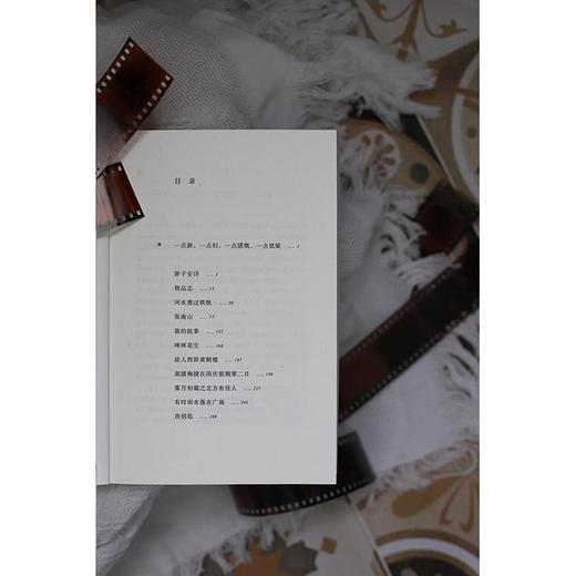 (仓发) 找钥匙（老舍文学奖得主文珍新作，献给那些城市缝隙中的普通人）/上海人民出版社/文珍/9787208169548 商品图8