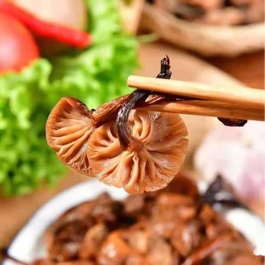 HEB东北榛蘑 商品图4