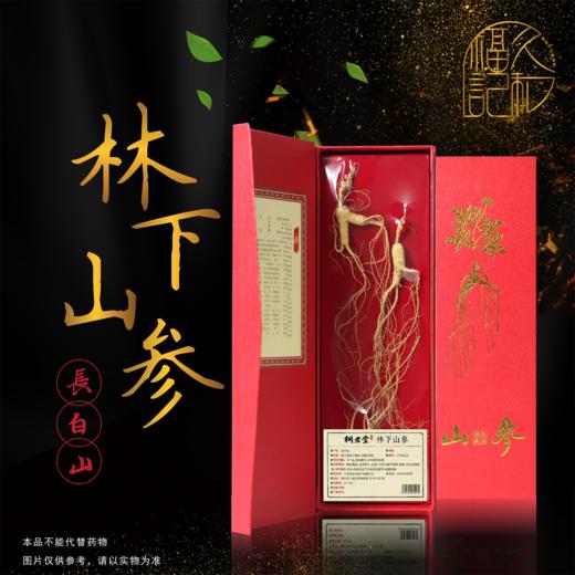 桐君堂林下山参 源自吉林长白山 商品图0