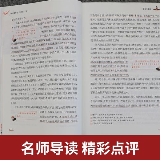 【三年级上册】快乐读书吧 （3册） 安徒生童话+稻草人+格林童话 小学语文配套名著丛书 商品图4