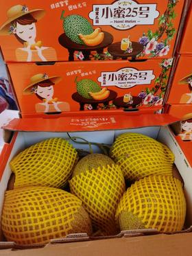 秒杀35元/箱沙地小蜜25号蜜瓜5个装