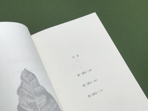 【毛边本】纯粹·婚礼的成员 商品图3