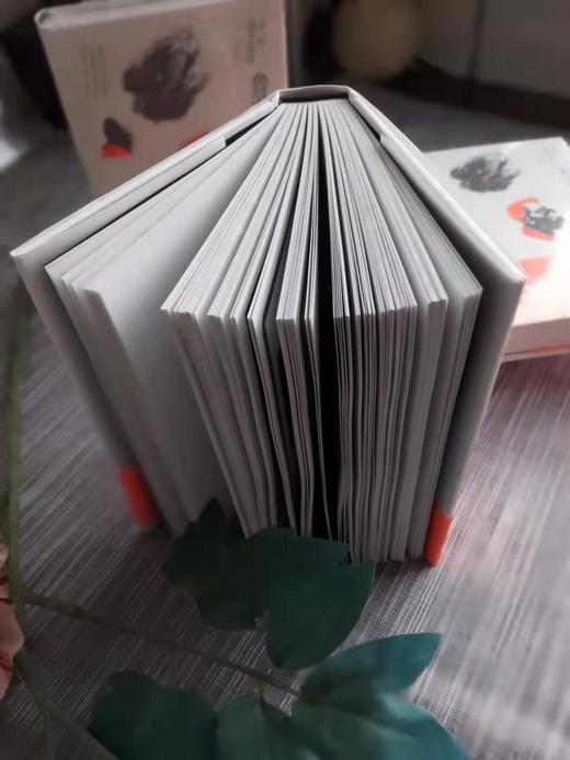 【毛边本】鲁迅的胡子：蒋一谈短篇小说选（插图本） 商品图2