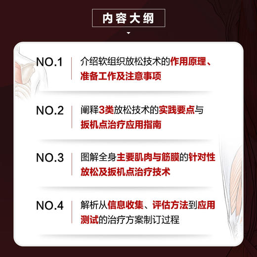 体育运动中的软组织放松与扳机点释放技术第2版 运动康复书籍 筋膜书籍 商品图2