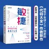 (仓发) 卓有成效的敏捷（异步图书出品）/人民邮电出版社/[美]史蒂夫·迈克康奈尔（Steve McConnell）/9787115564917 商品缩略图1