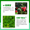 【季订组合款】MZ迷之booster精华液 淡化痘印修护改善舒缓 商品缩略图2