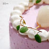 迷你多肉荔枝蛋糕，可选4英寸 商品缩略图3