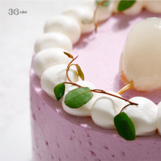 迷你多肉荔枝蛋糕，可选4英寸 商品图3