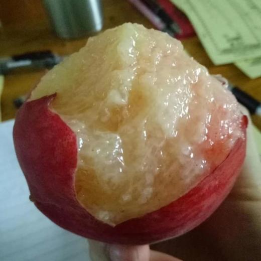 太行生态雪桃4.2斤【产地直发】@裕垦公社 商品图3