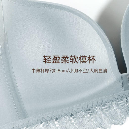 【满3件/59元】【B杯单件】【秀黛】爱丽丝无钢圈中薄杯文胸E5110020B【专柜同款】【如遇缺货自动退款，介意勿拍】 商品图2