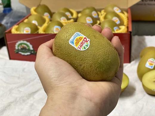 新西兰佳沛奇异果 商品图0