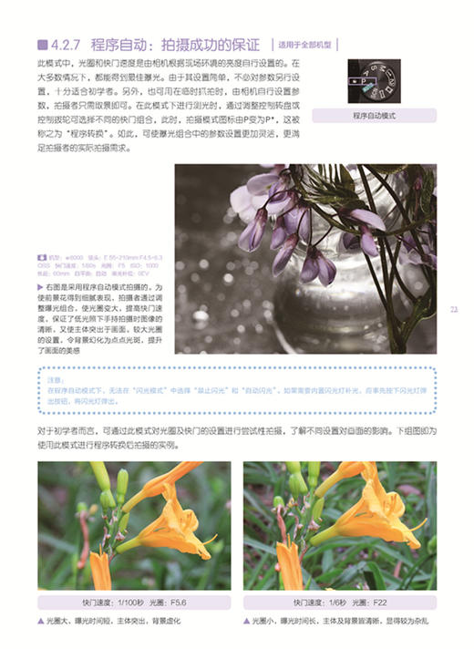 (仓发) 索尼微单摄影从新手到高手（全新畅销升级版）/中国青年出版社/曹照/9787515342382 商品图2