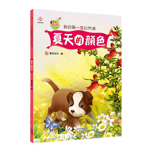 (仓发) 亲子版我的第一堂自然课 夏天的颜色/北京出版社/登亚文化/9787200159042 商品图0