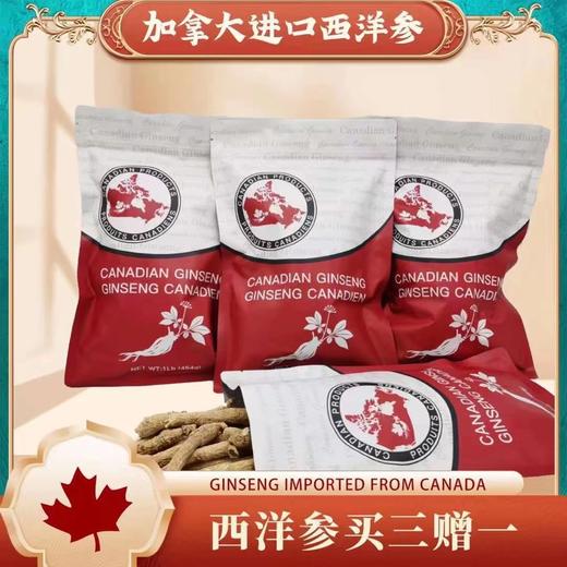 薅羊毛了‼️ 加拿大西洋参454g（长枝）袋装，买三送一超低价。五年西洋参（跨境） 商品图0