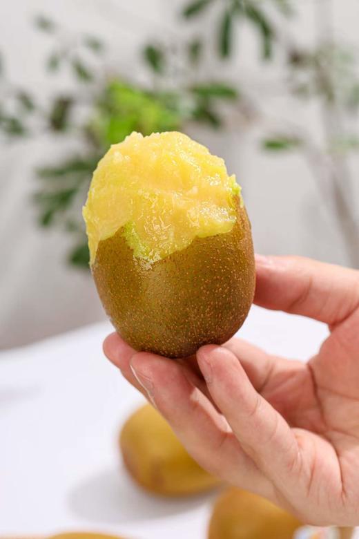 新西兰佳沛奇异果 商品图5