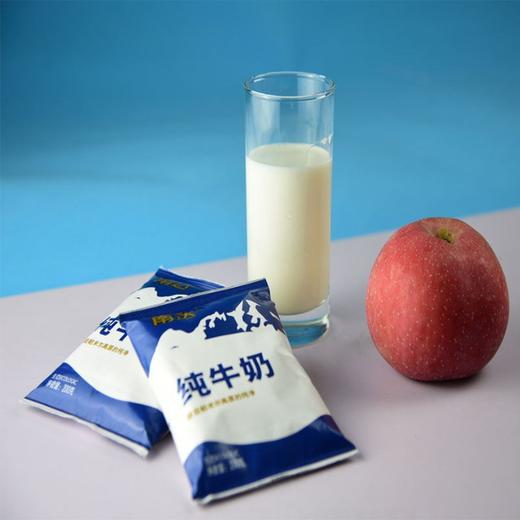 【香醇】新疆南达纯牛奶20袋整箱 商品图2