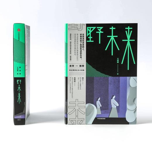 (仓发) 【余华推荐】野未来/中信出版集团股份有限公司/王威廉/9787521729870 商品图6