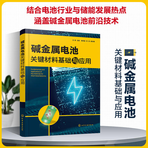 碱金属电池关键材料基础与应用 商品图0