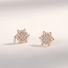 【六芒雪花】子佩集S925银新款花朵耳钉【JHY-E000321B】 商品缩略图3