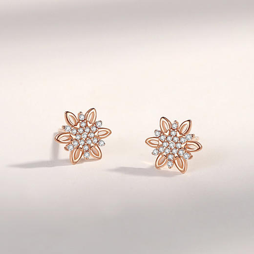【六芒雪花】子佩集S925银新款花朵耳钉【JHY-E000321B】 商品图3