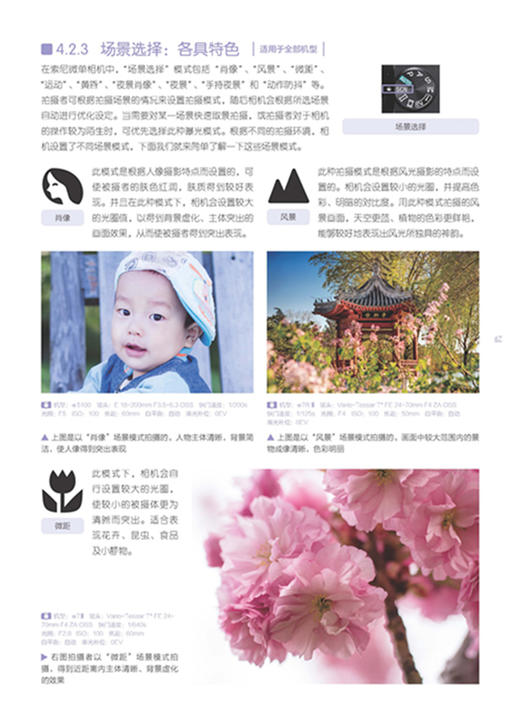 (仓发) 索尼微单摄影从新手到高手（全新畅销升级版）/中国青年出版社/曹照/9787515342382 商品图1