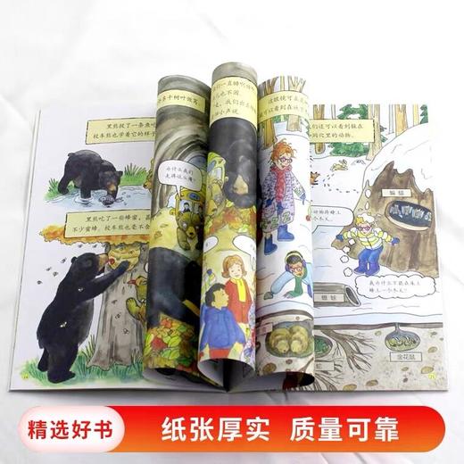 【会员兑换】神奇校车单本冬眠 儿童益智手工图画版绘本阅读 幼儿园2-3-4-5-6岁宝宝 小班 中班 大班 故事书亲子阅读启蒙早教读物童书 商品图2