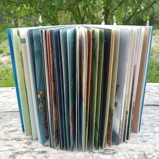 藏在地图里的美国  2022新版 美国百科全书 行政区划 气候交通 历史文化 中国地图出版社 9787520426732 商品图3