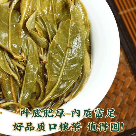 吉顺号普洱茶生茶饼《莲饼》云南七子饼茶口粮茶357克 商品图4