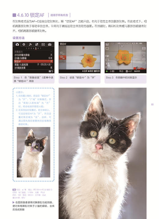 (仓发) 索尼微单摄影从新手到高手（全新畅销升级版）/中国青年出版社/曹照/9787515342382 商品图6