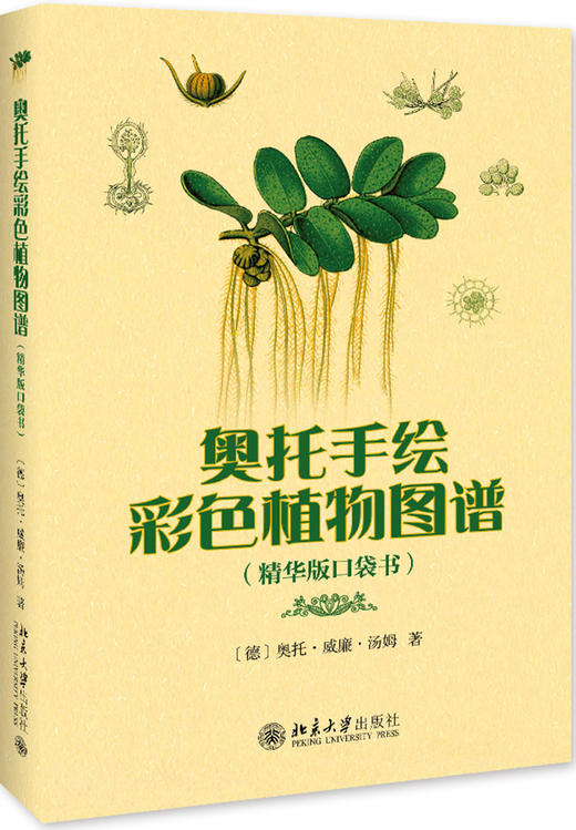 (仓发) 奥托手绘彩色植物图谱（精华版口袋书）奥地利植物学奥托经典作品/北京大学出版社/奥托.威廉.汤姆/9787301301210 商品图0