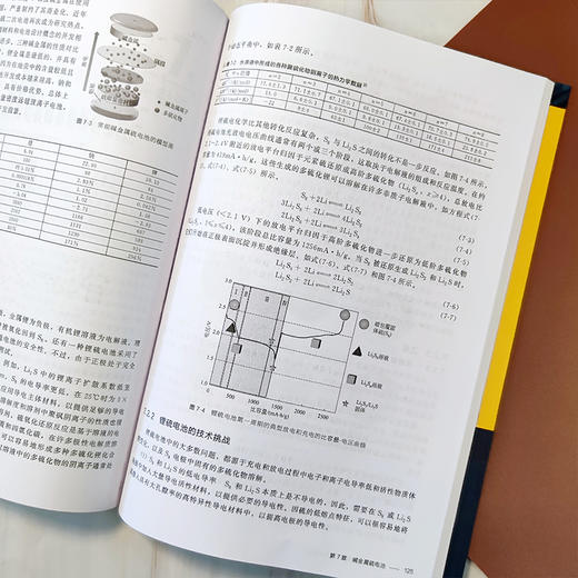 碱金属电池关键材料基础与应用 商品图9