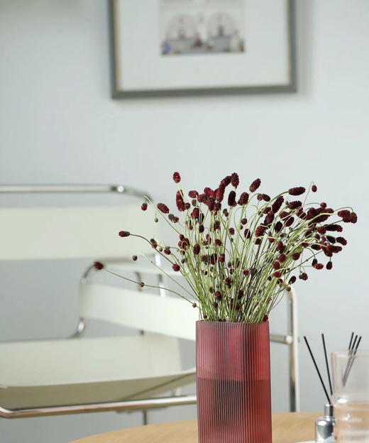 【爱慕】地榆（红公主）5枝/扎（进口） 商品图6