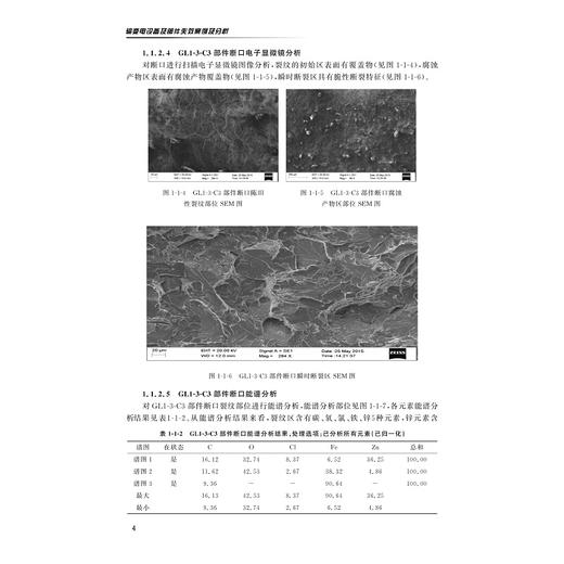 输变电设备及部件失效案例及分析/许宏伟/杨迎春/浙江大学出版社 商品图4