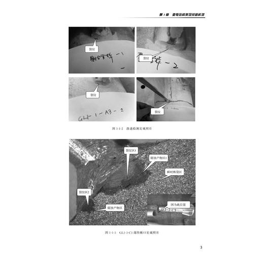 输变电设备及部件失效案例及分析/许宏伟/杨迎春/浙江大学出版社 商品图3