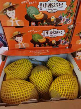 秒杀35元/箱沙地小蜜25号蜜瓜5个装