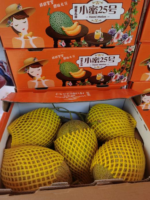秒杀35元/箱沙地小蜜25号蜜瓜5个装 商品图0