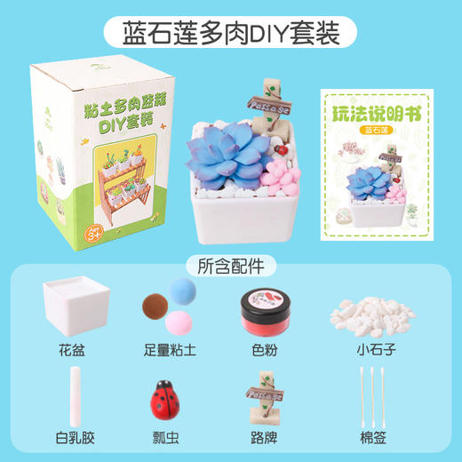 超轻粘土多肉DIY套装（蓝石莲）DR08 商品图0