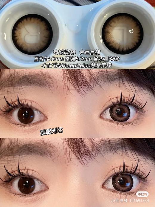 【店主实拍】大巨目棕 14.5mm【年抛 0-1000度 含525/575】 商品图1