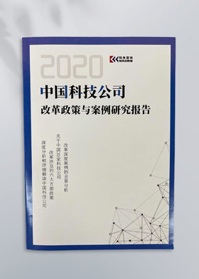 知本咨询中国科技公司改革政策与案例 研究报告