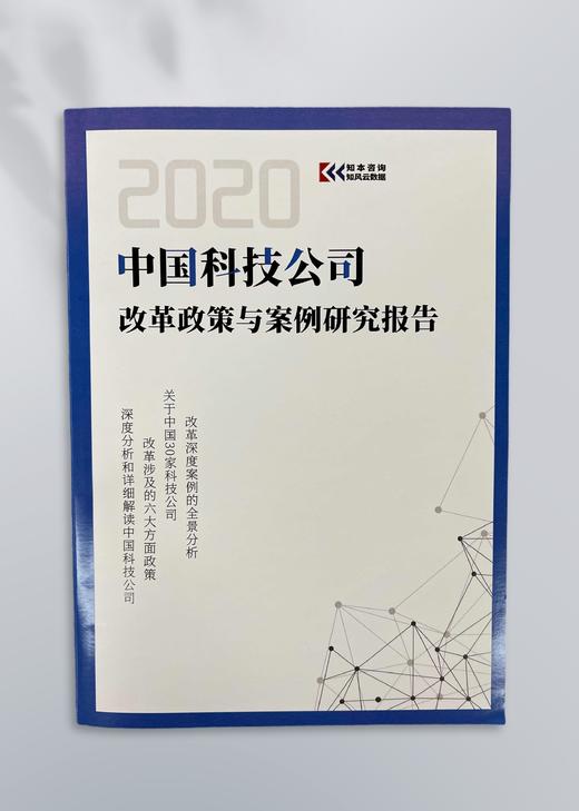 知本咨询中国科技公司改革政策与案例 研究报告 商品图0