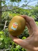 新西兰佳沛奇异果 商品缩略图4