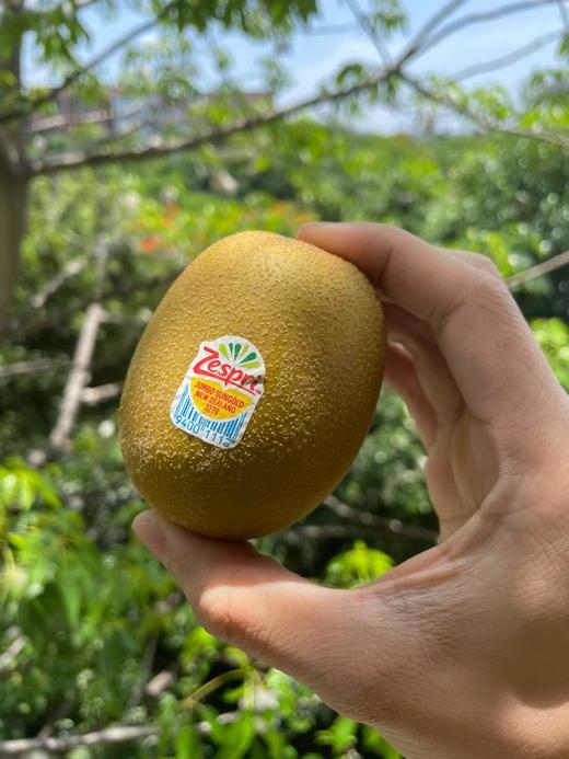 新西兰佳沛奇异果 商品图4