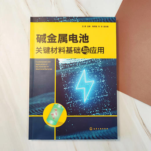 碱金属电池关键材料基础与应用 商品图2