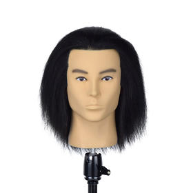 飞彩10寸黑色全人发男士教练头