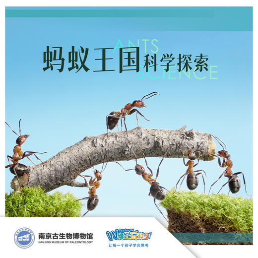 【南京】地下王朝 蚂蚁 商品图0