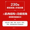 (仓发) 瑜伽功能解剖学 基于肌肉结构与功能的精准瑜伽体式图解 修订版(人邮体育出品)/人民邮电出版社/[美]乔·安·史道格-琼斯（Jo,Ann,Sta/9787115557445 商品缩略图3